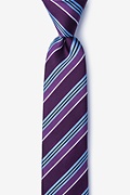 Feale Plum Skinny Tie Photo (0)