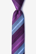 Finn Plum Skinny Tie Photo (0)