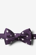 Polka Dot Plum Self-Tie Bow Tie Photo (0)