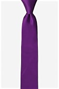 Plum Wine Skinny Tie Photo (0)