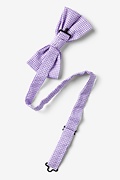 Chamberlain Check Purple Pre-Tied Bow Tie Photo (1)