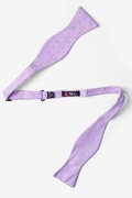 Purple Warner Cotton Polka Dots Self-Tie Bow Tie Photo (1)