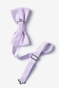 Warner Purple Pre-Tied Bow Tie Photo (1)