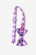 Jefferson Stripe Purple Pre-Tied Bow Tie Photo (1)