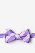 Jefferson Stripe Purple Self-Tie Bow Tie Photo (0)