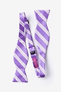 Jefferson Stripe Purple Self-Tie Bow Tie Photo (1)
