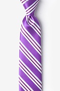 McKinley Purple Skinny Tie Photo (0)