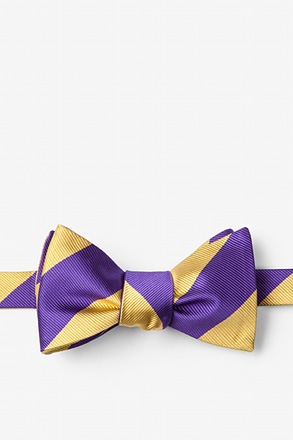 Purple & Gold Stripe