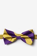 Purple & Gold Stripe Pre-Tied Bow Tie Photo (0)