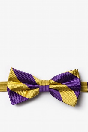 _Purple & Gold Stripe Pre-Tied Bow Tie_