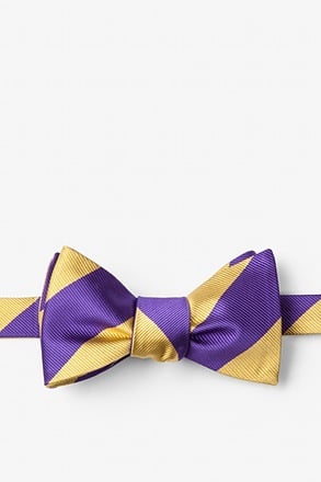 Purple & Gold Stripe Self-Tie Bow Tie