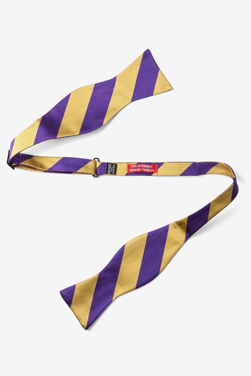 Purple & Gold Stripe Self-Tie Bow Tie Photo (1)