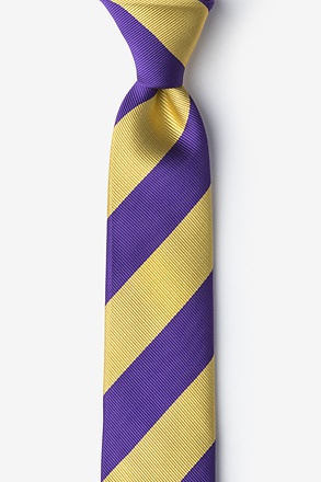 _Purple & Gold Stripe Skinny Tie_