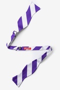 Purple & Off White Stripe