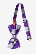Purple & Silver Stripe