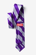 Purple & Silver Stripe Extra Long Tie Photo (1)