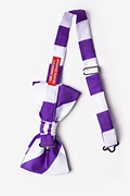 Purple & White Stripe Pre-Tied Bow Tie Photo (1)