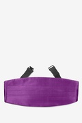 Purple Plum Cummerbund Photo (0)