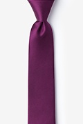 Purple Plum Skinny Tie Photo (0)