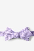 Purple Chamberlain Check Diamond Tip Bow Tie Photo (0)