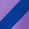 Purple Silk Bandon Skinny Tie