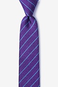 Lagan Purple Skinny Tie Photo (0)