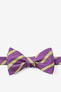 Balboa Purple Stripe Self Tie Bow Tie Photo (0)