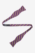 Balboa Purple Stripe Self Tie Bow Tie Photo (1)