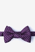 Robe Purple Self-Tie Bow Tie Photo (0)