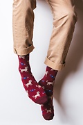 Golden Retriever Red Sock Photo (1)