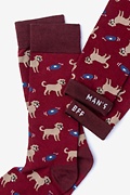 Golden Retriever Red Sock Photo (2)