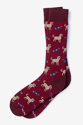 _Golden Retriever Red Sock_