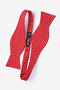 Bandon Red Self-Tie Bow Tie Photo (1)
