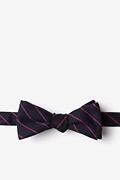 Glenn Heights Red Skinny Bow Tie Photo (0)