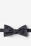 Mesa Red Self-Tie Bow Tie Photo (0)