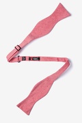 Red Warner Cotton Polka Dots Self-Tie Bow Tie Photo (1)