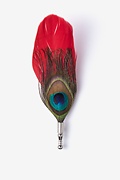 Peacock Feather Red Lapel Pin Photo (0)