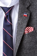 Republican Elephant Red Lapel Pin Photo (1)