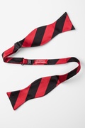 Red & Black Stripe Self-Tie Bow Tie Photo (1)