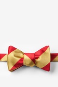 Red & Gold Stripe