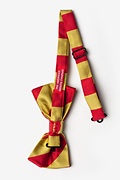 Red & Gold Stripe Pre-Tied Bow Tie Photo (1)