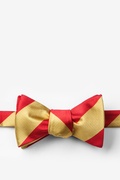 Red & Gold Stripe Self-Tie Bow Tie Photo (0)