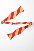 Red & Gold Stripe Self-Tie Bow Tie Photo (1)