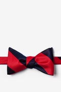 Red and Navy Stripe Self-Tie Bow Tie Photo (0)