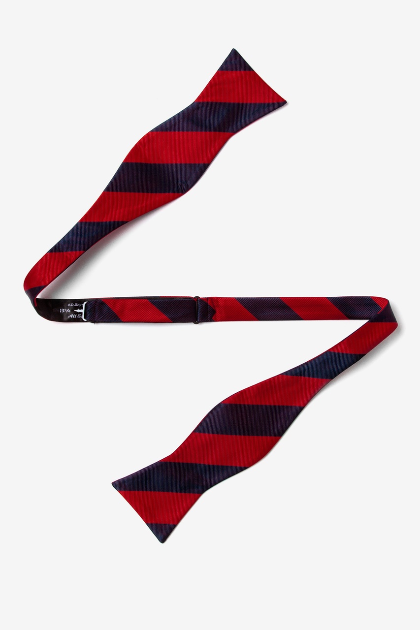 Red and Navy Stripe Self-Tie Bow Tie Photo (1)