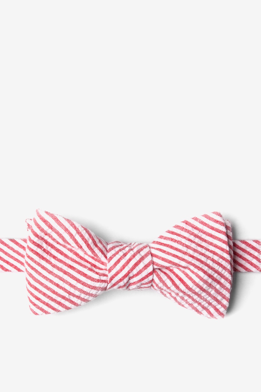 Red Seersucker Stripe Butterfly Self Tie Bow Tie | Ties.com
