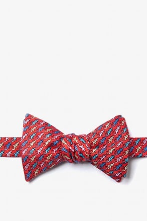 _Cold-blooded Red Self-Tie Bow Tie_