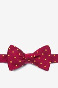 Crimson with Gold Dots Red Self-Tie Bow Tie Photo (0)