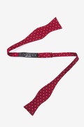 Crimson with Gold Dots Red Self-Tie Bow Tie Photo (1)