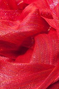 Red Rainbow Sparkle Scarf Photo (1)